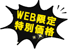 WEB限定特別価格