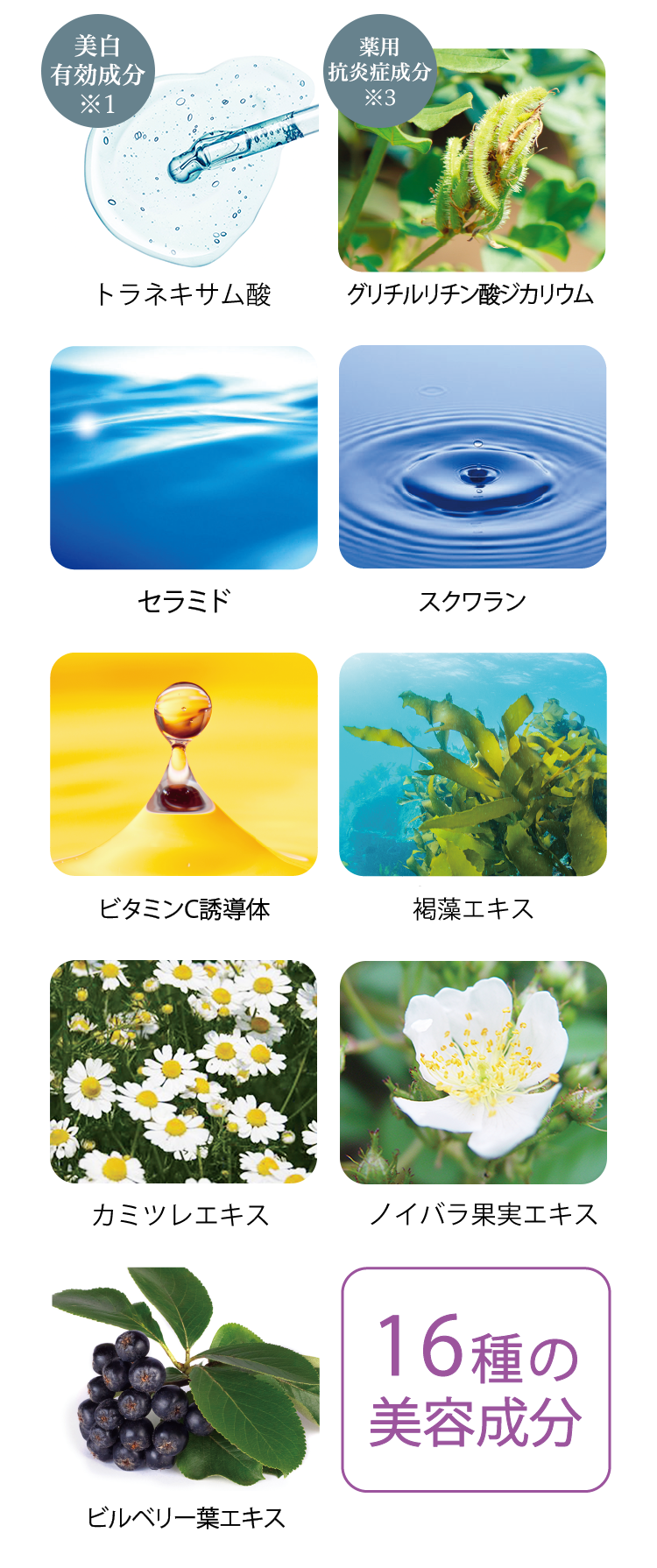 カバー力&充実の美容成分